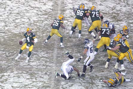 17 Protecting Favre IMG_2829